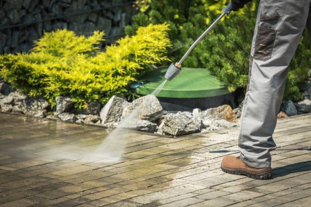 Best Sidewalk and Walkway Cleaning  in Lutcher, LA