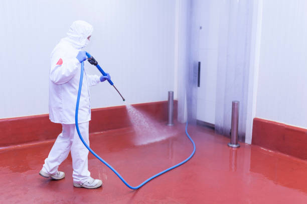 Best Paint Preparation  in Lutcher, LA