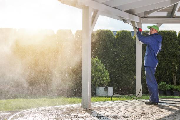Best Gutter Cleaning  in Lutcher, LA